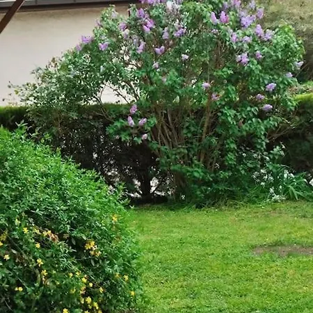 Maison Medicis - T5 Spacieuse Et Calme En - Emplacement Ideal