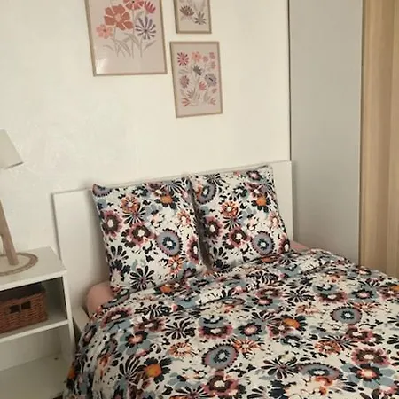 Maison Medicis - T5 Spacieuse Et Calme En - Emplacement Ideal * Toulouse