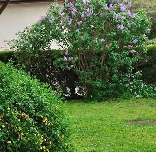 Maison Medicis - T5 Spacieuse Et Calme En - Emplacement Ideal